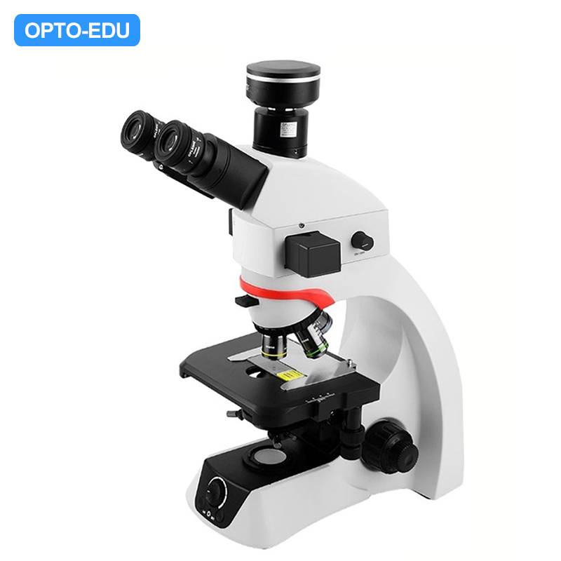 Fluorescent Microscope